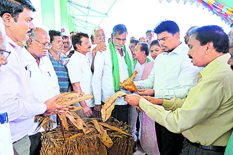 పొగాకు కొనుగోలు కేంద్రం ప్రారంభం 