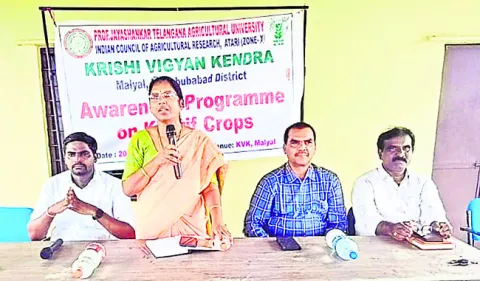 స్వల్పకాలిక సన్న రకాల సాగు మేలు