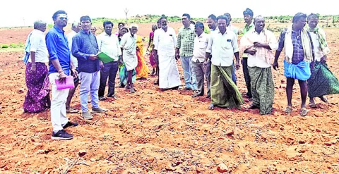 చావనై