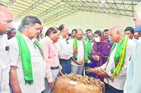 నల్లబర్లీ పొగాకును ప్రభుత్వమే కొంటుంది