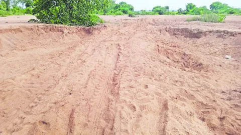 ఇసుక తోడేళ్లు