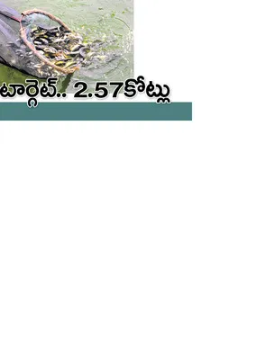 శనివా