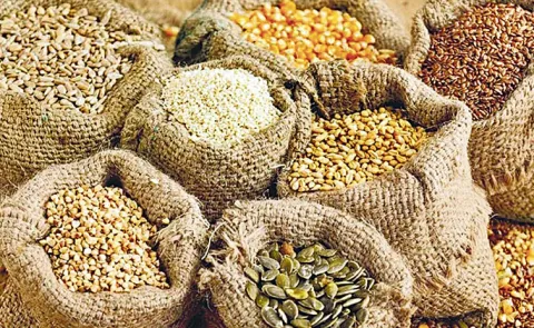 Andhra Pradesh govt focuses on seed distribution