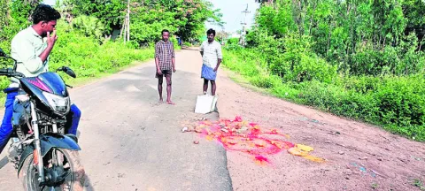 తిమ్మ