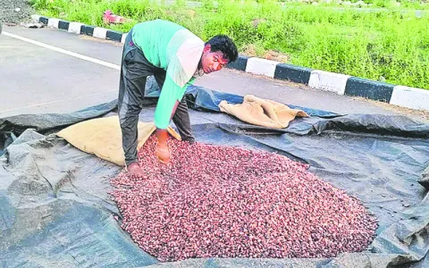 ఆదివా
