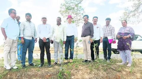 లైసెన