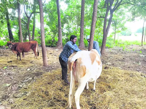 జీతం.. సతమతం