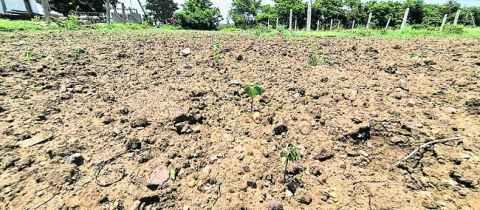 చినుక