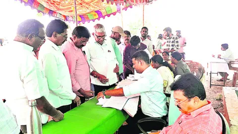 చిగురిస్తున్న ఆశలు