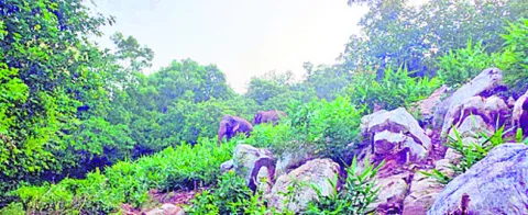 ఏడు న