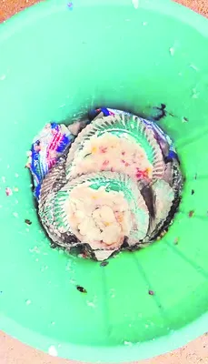 ఉప్మా