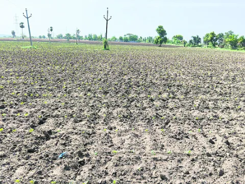 చినుక