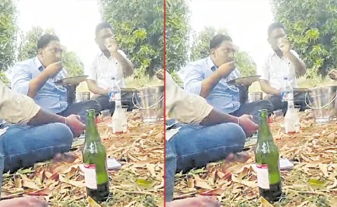 Field assistant alcohol during working hours: Nandyal district