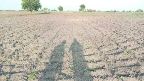 ఆదిలో