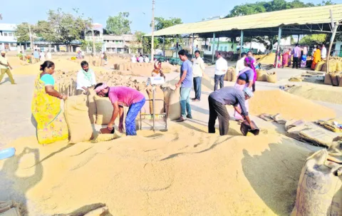 సాగుపై సందిగ్ధం.. 