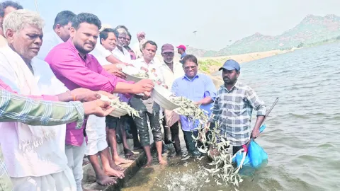 మీనమే