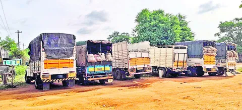 పశుమాంసం పట్టివేత  
