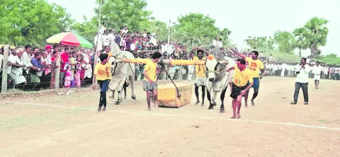 సత్తా