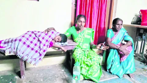 పురుగ