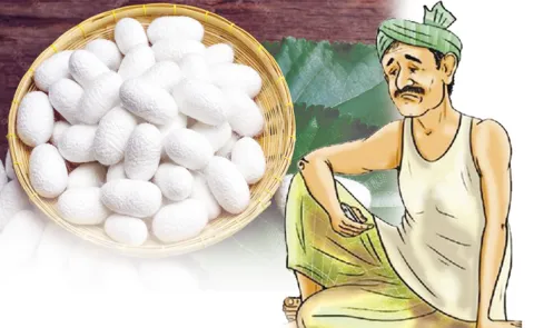 Silk Farmers Protest in Andhra Pradesh