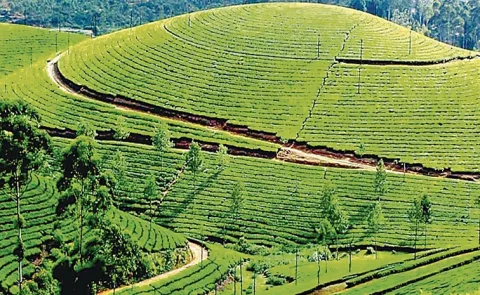 Travel Best Place to visit in Ooty or Udhagamandalam13