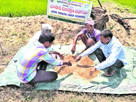 భూసార