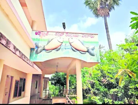 మూలనప
