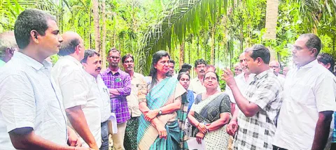 కోకో సాగు విస్తీర్ణం గుర్తింపునకు ఈ–క్రాప్‌