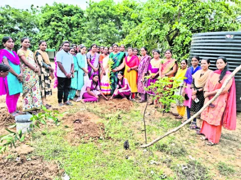 పర్యావరణ పరిరక్షణలో భాగస్వాములు కావాలి
