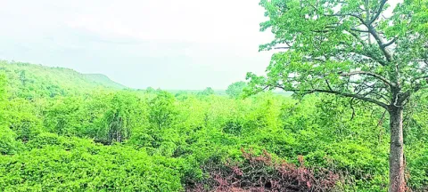 ఆహ్లా