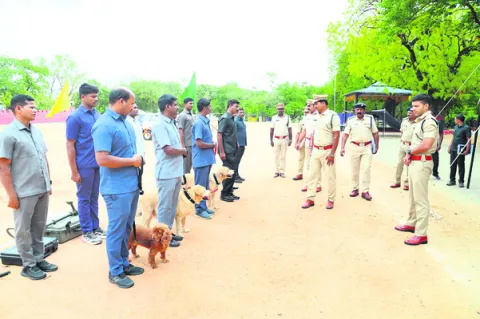 మత్తు