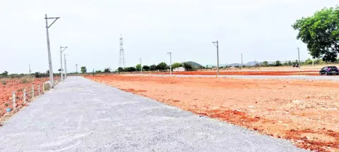 ఎల్లో
