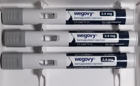Novo Nordisk launches blockbuster weight loss drug Wegovy in India13