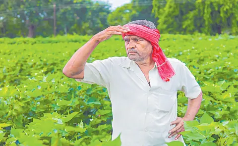 Farmers awaiting for light rains in Telangana