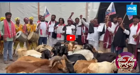 Yadav Community Leaders Protest At Gandhi Bhavan With Sheep 1