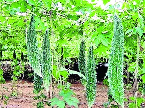రైతుల