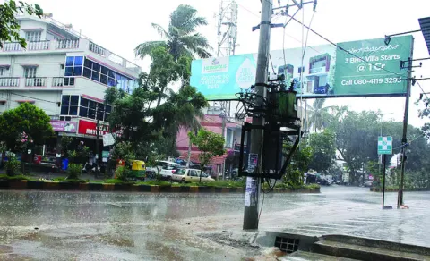 ఆనేకల