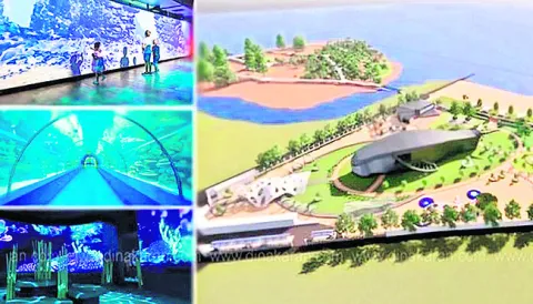 ‘సీ–కౌ’ సంరక్షణకు సన్నద్ధం