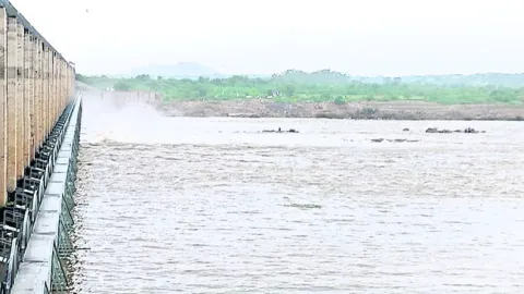 జూరాలకు 43 వేల క్యూసెక్కులు 