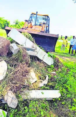 పెదగా