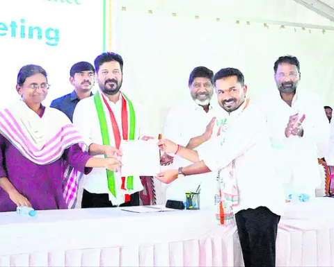 టీపీస