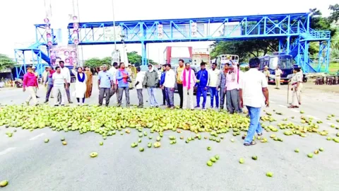 రోడ్డెక్కిన మామిడి రైతులు 