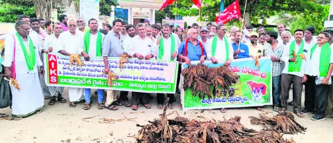 పొగాకు రైతులను ఆదుకోవాలి 