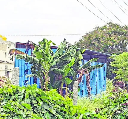 మేం చ