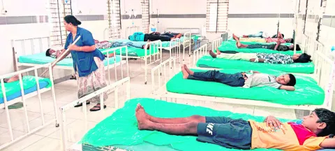 అల్పా