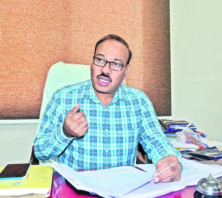 సీజనల