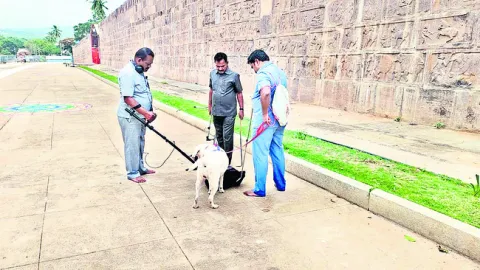 శ్రీశైలంలో ముమ్మర తనిఖీలు 