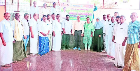 పచ్చిరొట్ట ఎరువులతో నేల సారవంతం 