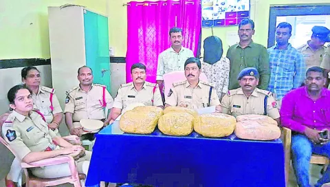 15.5 కిలోల గంజాయి స్వాధీనం 