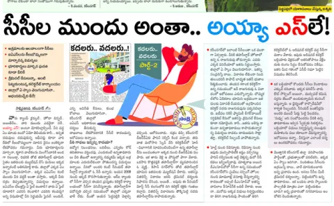 సీసీల